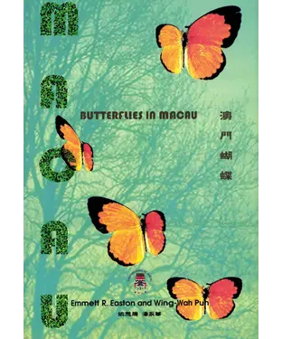 書封 澳門蝴蝶